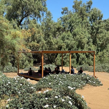 Rancho Dominique Valle De Guadalupe Εξωτερικό φωτογραφία