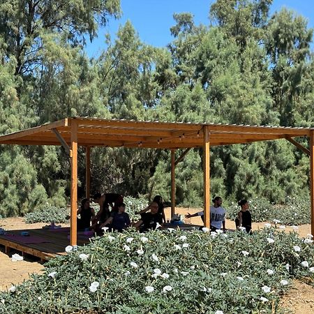 Rancho Dominique Valle De Guadalupe Βίλα Εξωτερικό φωτογραφία