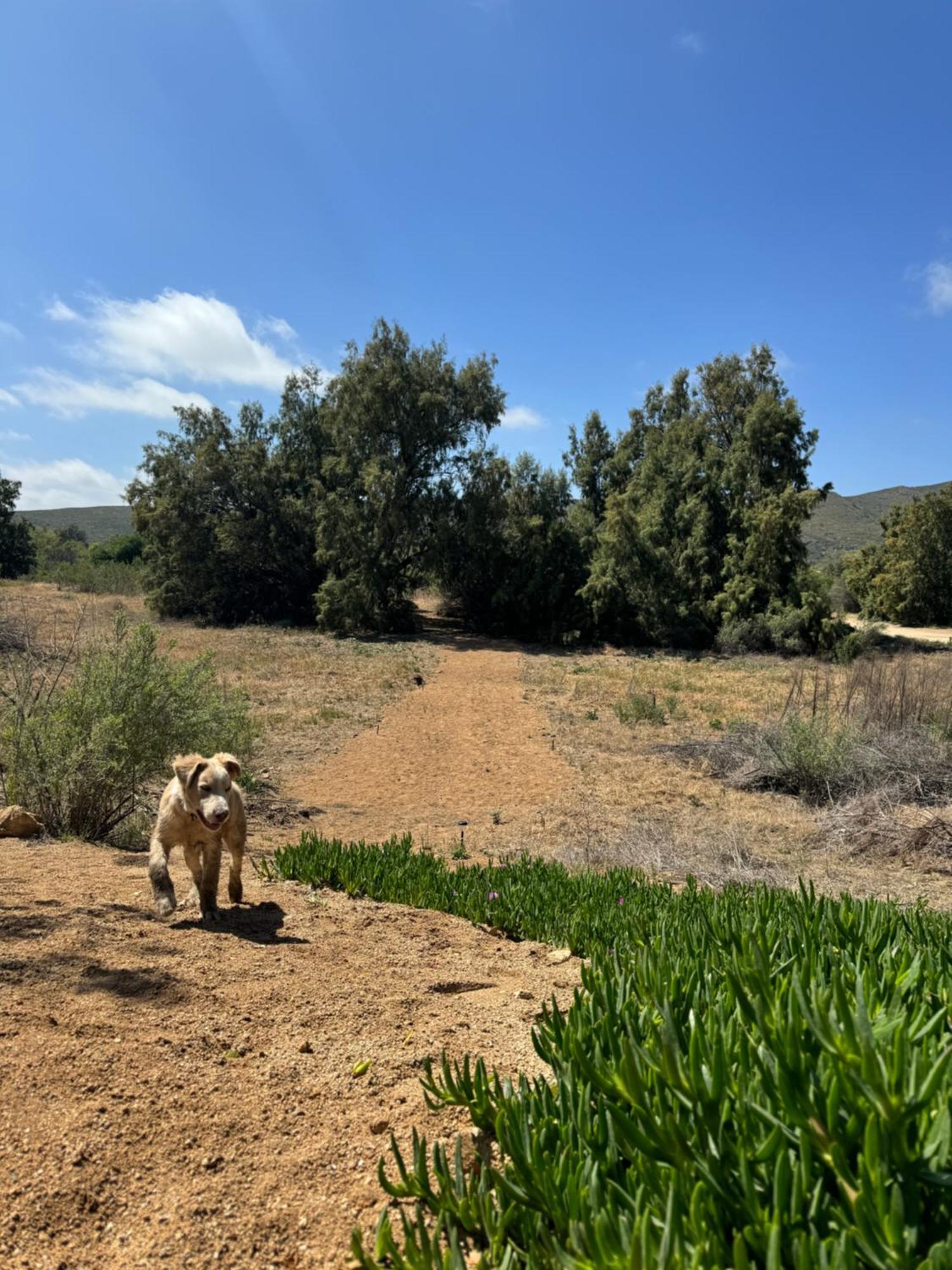Rancho Dominique Valle De Guadalupe Εξωτερικό φωτογραφία