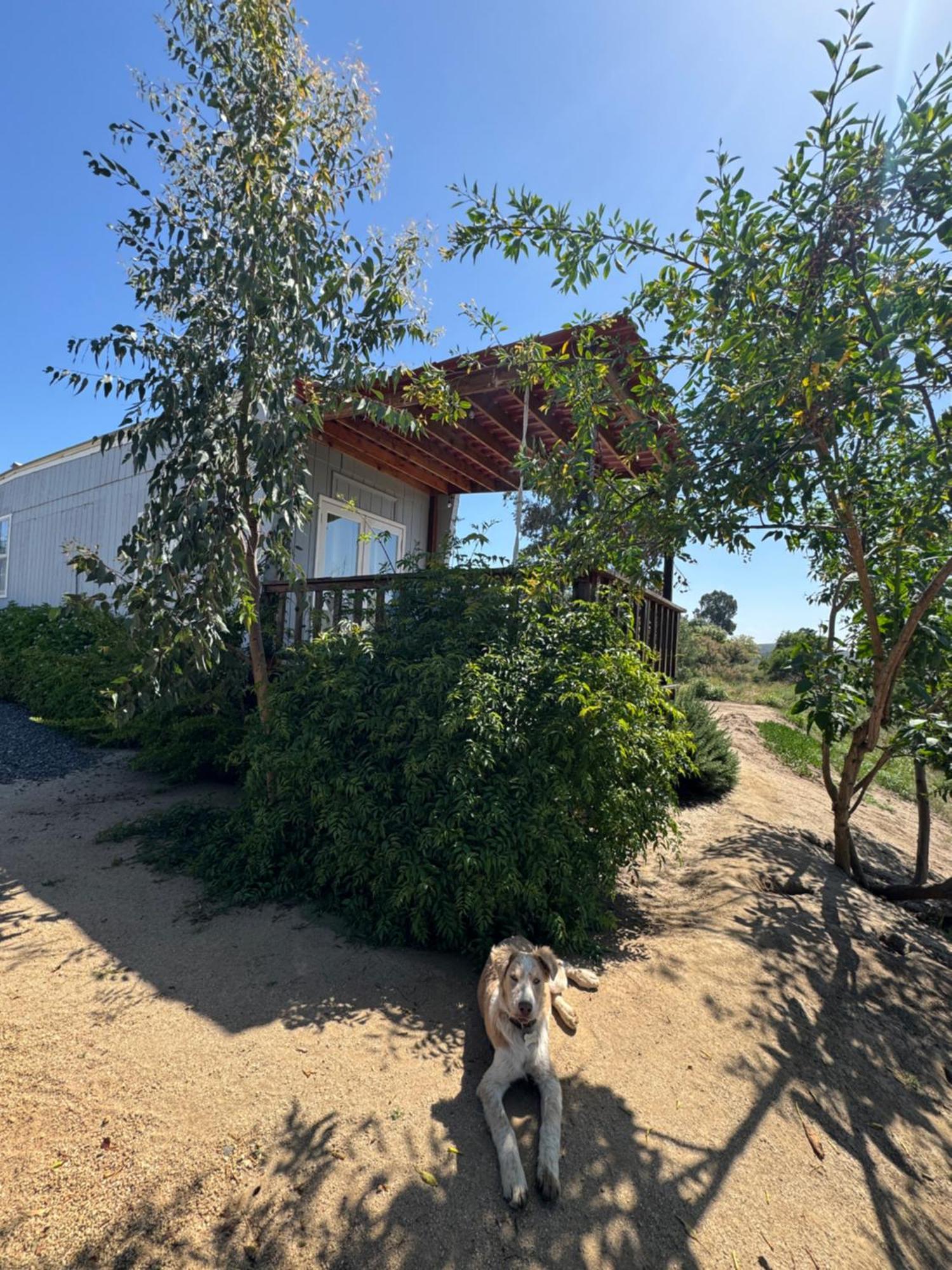 Rancho Dominique Valle De Guadalupe Εξωτερικό φωτογραφία