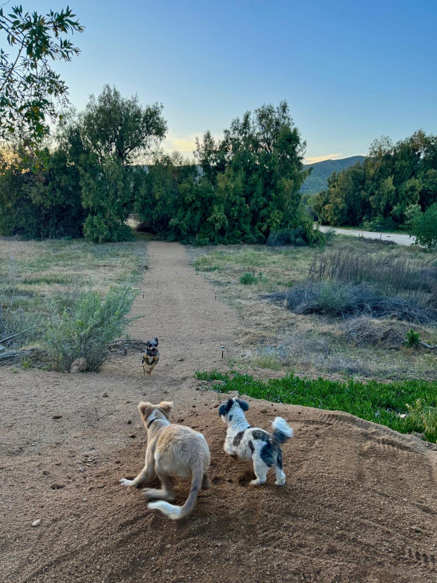 Rancho Dominique Valle De Guadalupe Εξωτερικό φωτογραφία