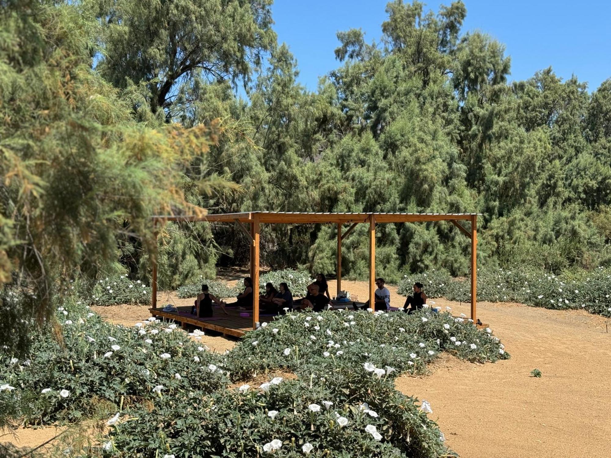 Rancho Dominique Valle De Guadalupe Εξωτερικό φωτογραφία